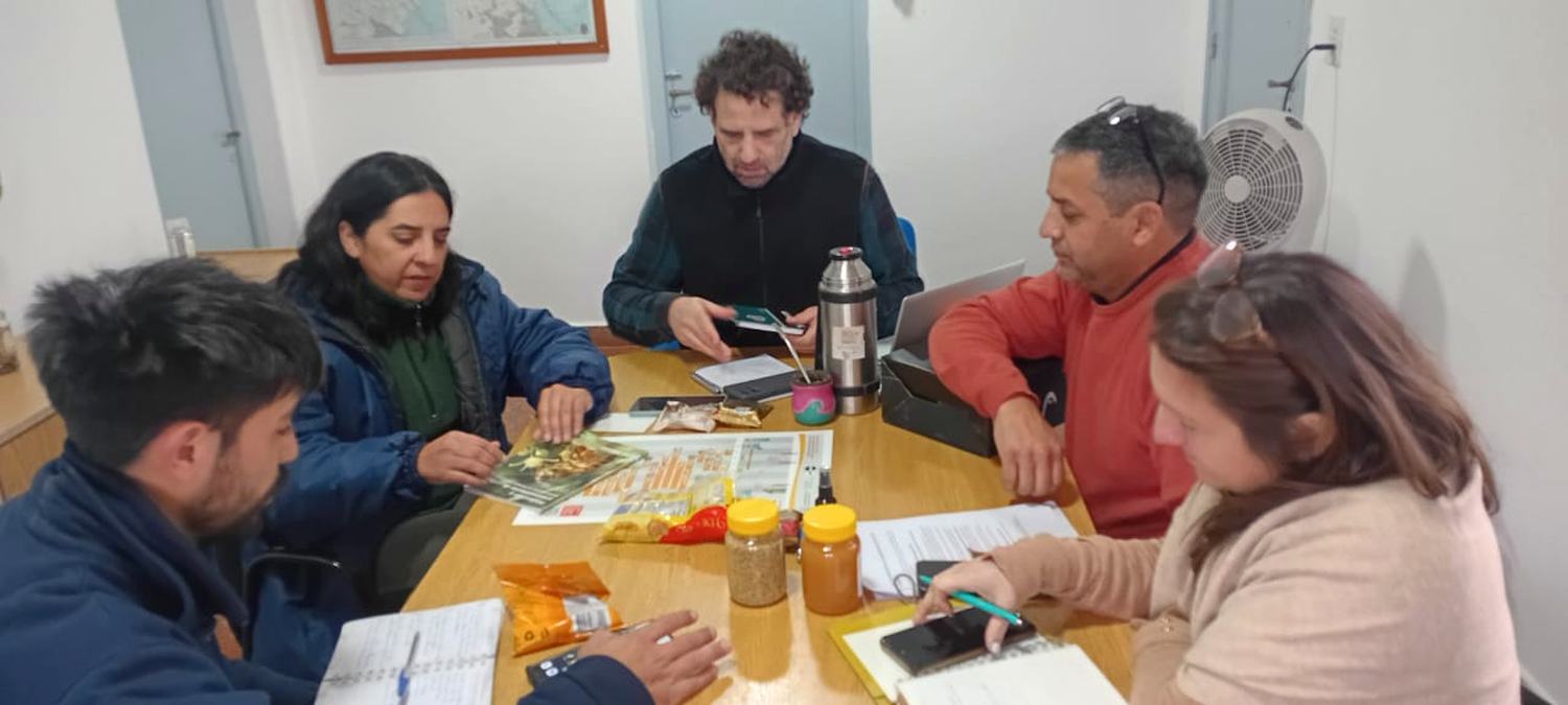 Reunión de trabajo sobre propóleo en el INTA Delta del Paraná