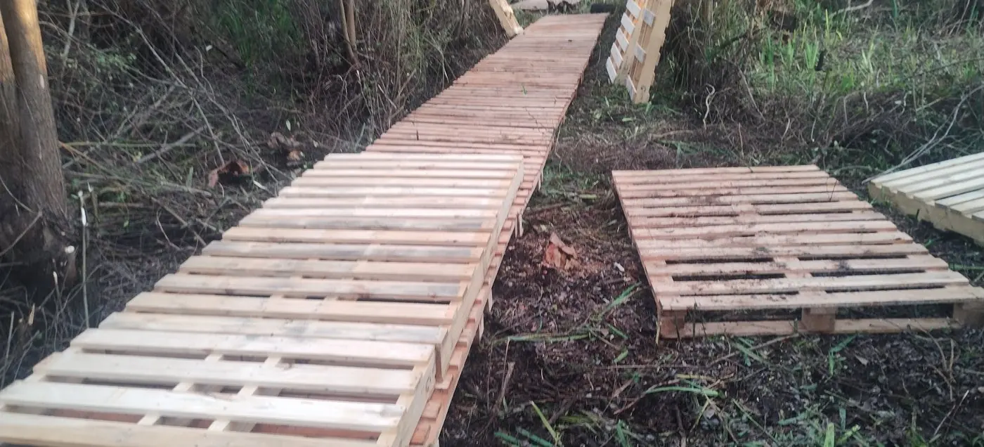 Camino provisorio de pallets abriéndose entre el monte
